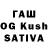 Псилоцибиновые грибы Psilocybine cubensis 9__BESS__9