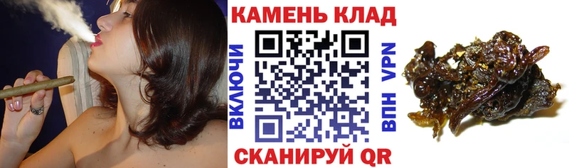 ГАШИШ Изолятор Полтавская