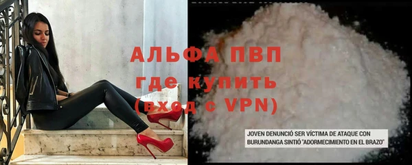 прущие грибы Белокуриха