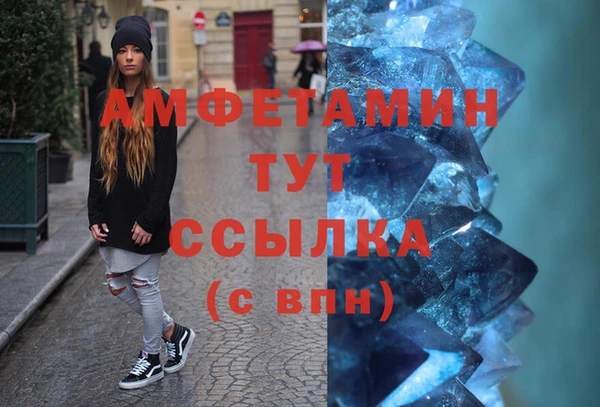 прущие грибы Белокуриха