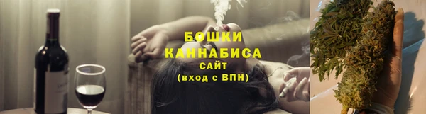 МДПВ Богородск