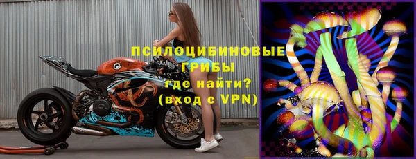 МДПВ Богородск