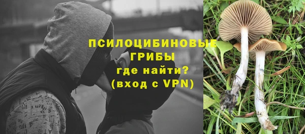 a pvp Богданович