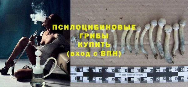 МДПВ Богородск