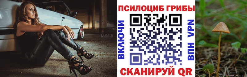 Галлюциногенные грибы прущие грибы  купить наркотик  гидра вход  Полтавская 